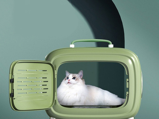 타오바오 구매대행 고양이 케이지 애견케이지 이동가방 투명가방 중국 수입 반려동물용품