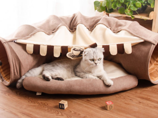 알리바바구매대행 추천 고양이 침대 일체형 터널 장난감 